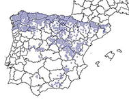 Salmo trutta_Mapa.jpg